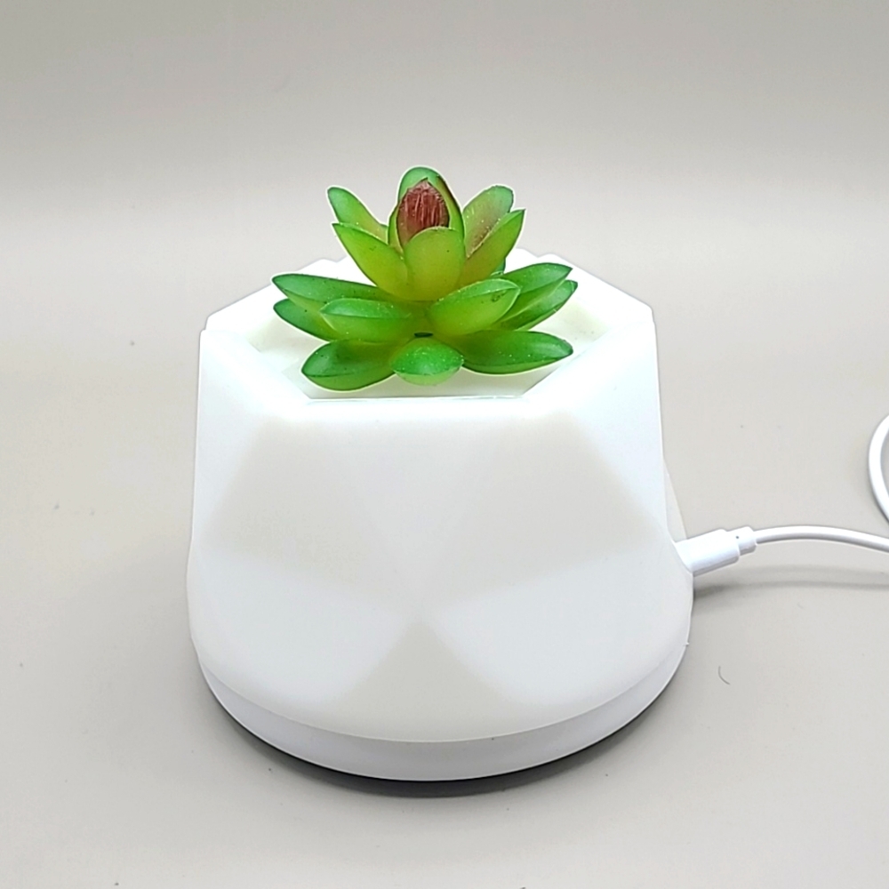 Succulent USB LED 6 Color Changing Light Fragrance Aroma Diffuser Aromatherapy